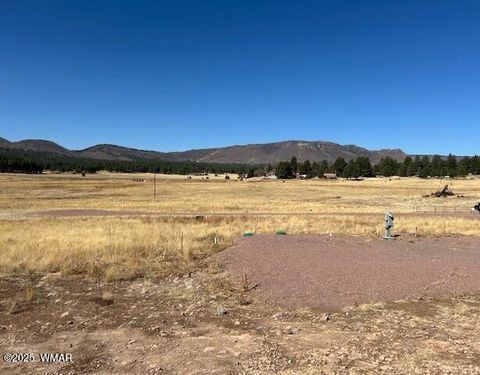 Tiny photo for 6 County Road 2331, Alpine, AZ 85920 (MLS # 255395)