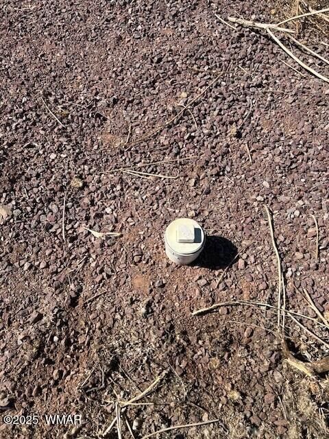 Tiny photo for 6 County Road 2331, Alpine, AZ 85920 (MLS # 255395)
