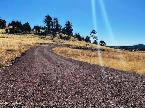 Tiny photo for 6 County Road 2331, Alpine, AZ 85920 (MLS # 255395)