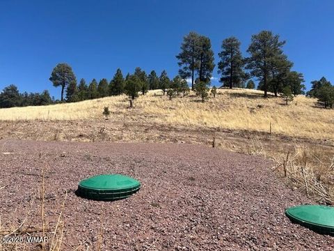 Tiny photo for 6 County Road 2331, Alpine, AZ 85920 (MLS # 255395)