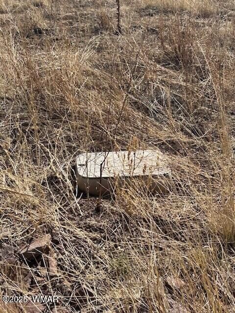 Tiny photo for 6 County Road 2331, Alpine, AZ 85920 (MLS # 255395)