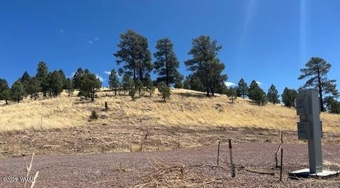 Tiny photo for 6 County Road 2331, Alpine, AZ 85920 (MLS # 255395)