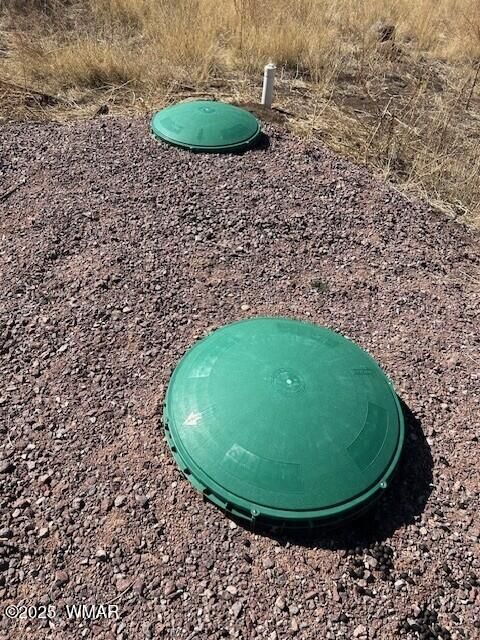 Tiny photo for 6 County Road 2331, Alpine, AZ 85920 (MLS # 255395)