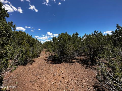 Tiny photo for Lot 16 ACR 3028, Vernon, AZ 85940 (MLS # 255962)