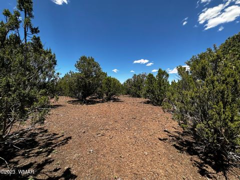 Tiny photo for Lot 16 ACR 3028, Vernon, AZ 85940 (MLS # 255962)