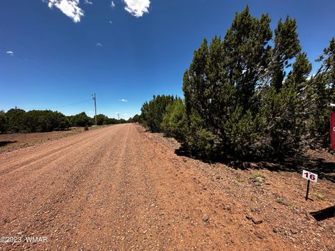 Tiny photo for Lot 16 ACR 3028, Vernon, AZ 85940 (MLS # 255962)