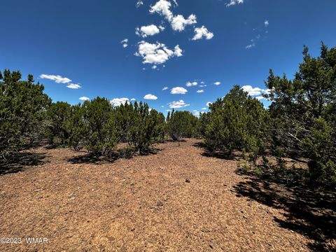 Tiny photo for Lot 16 ACR 3028, Vernon, AZ 85940 (MLS # 255962)