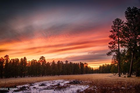 Tiny photo for 955 Rainbow View Drive, Lakeside, AZ 85929 (MLS # 258159)