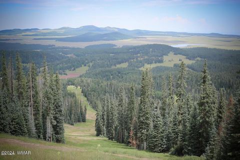 Tiny photo for 955 Rainbow View Drive, Lakeside, AZ 85929 (MLS # 258159)