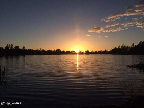 Tiny photo for 955 Rainbow View Drive, Lakeside, AZ 85929 (MLS # 258159)