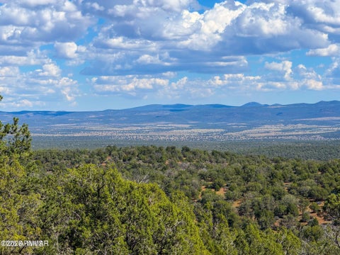 Tiny photo for 61 Norma Rd Lot C 10 Acres, Ash Fork, AZ 86320 (MLS # 263493)