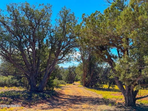 Tiny photo for 61 Norma Rd Lot C 10 Acres, Ash Fork, AZ 86320 (MLS # 263493)