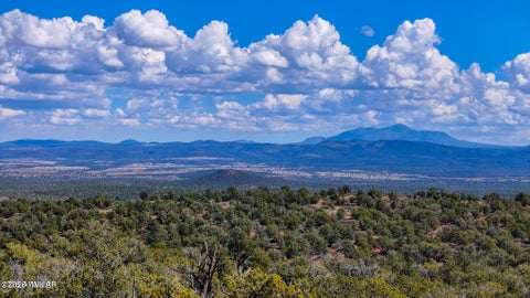 Tiny photo for 61 Norma Rd Lot C 10 Acres, Ash Fork, AZ 86320 (MLS # 263493)