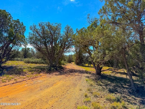 Tiny photo for 61 Norma Rd Lot C 10 Acres, Ash Fork, AZ 86320 (MLS # 263493)