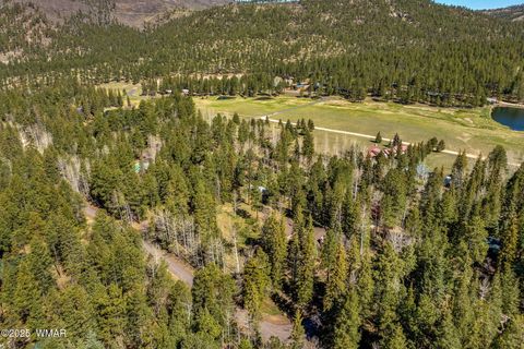 Tiny photo for 7 County Rd 2044, Alpine, AZ 85920 (MLS # 254645)