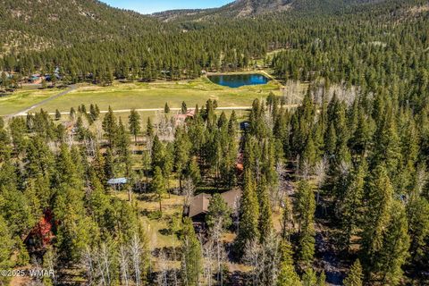 Tiny photo for 7 County Rd 2044, Alpine, AZ 85920 (MLS # 254645)