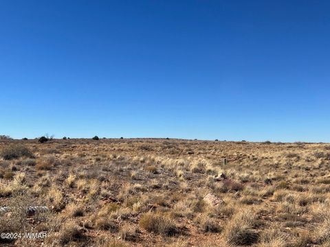 Tiny photo for Lot 42 Sundown Drive, Snowflake, AZ 85937 (MLS # 253631)