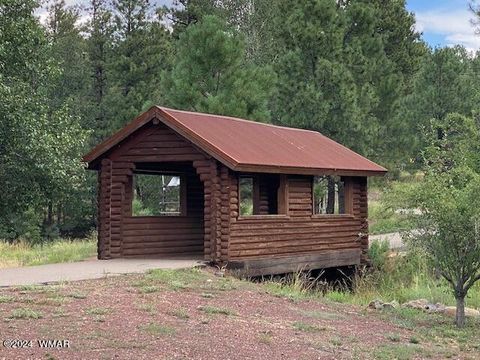 Tiny photo for 2601 Thunderbolt Circle, Pinetop, AZ 85935 (MLS # 260193)