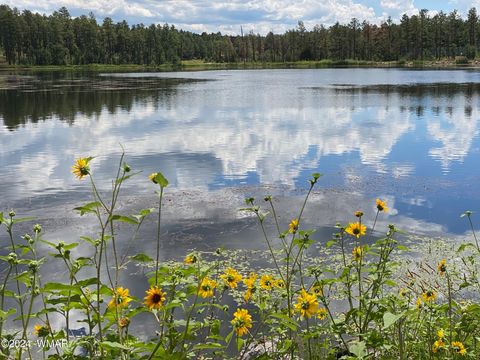 Tiny photo for 2601 Thunderbolt Circle, Pinetop, AZ 85935 (MLS # 260193)
