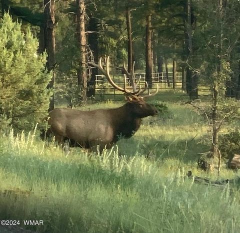 Tiny photo for 2601 Thunderbolt Circle, Pinetop, AZ 85935 (MLS # 260193)