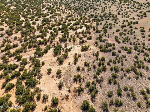 Tiny photo for 40 AC Parcel #212-10-020, Concho, AZ 85924 (MLS # 260033)
