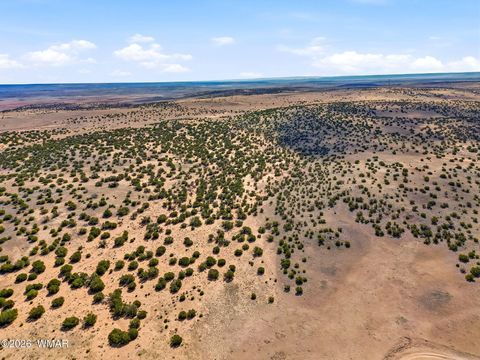 Tiny photo for 40 AC Parcel #212-10-020, Concho, AZ 85924 (MLS # 260033)