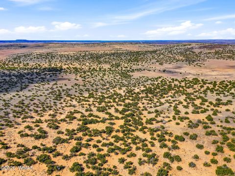 Tiny photo for 40 AC Parcel #212-10-020, Concho, AZ 85924 (MLS # 260033)