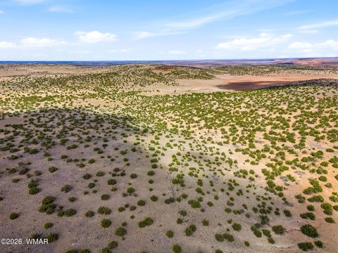 Tiny photo for 40 AC Parcel #212-10-020, Concho, AZ 85924 (MLS # 260033)