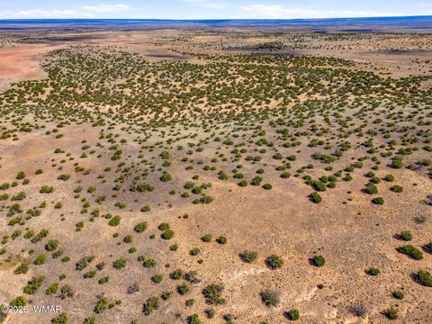 Tiny photo for 40 AC Parcel #212-10-020, Concho, AZ 85924 (MLS # 260033)