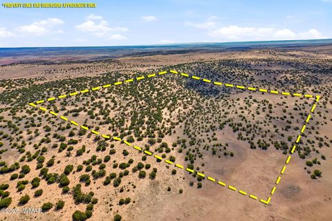 Photo of 40 AC Parcel #212-10-020, Concho, AZ 85924 (MLS # 260033)