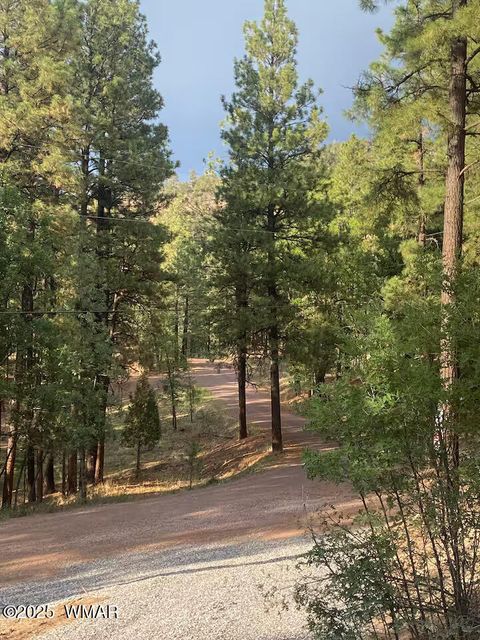 Tiny photo for 48 N2276, Nutrioso, AZ 85932 (MLS # 258241)