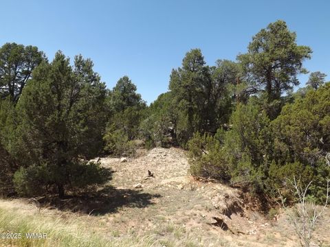 Tiny photo for 3500/3506 Evergreen Drive, Overgaard, AZ 85933 (MLS # 255282)