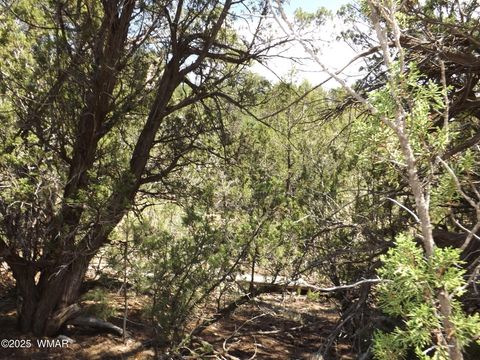Tiny photo for 3500/3506 Evergreen Drive, Overgaard, AZ 85933 (MLS # 255282)