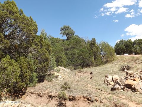 Tiny photo for 3500/3506 Evergreen Drive, Overgaard, AZ 85933 (MLS # 255282)