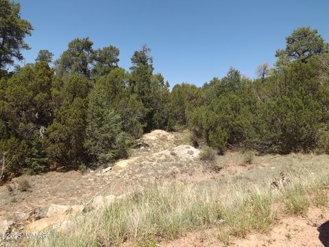 Photo of 3500/3506 Evergreen Drive, Overgaard, AZ 85933 (MLS # 255282)
