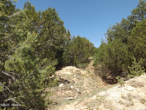Tiny photo for 3500/3506 Evergreen Drive, Overgaard, AZ 85933 (MLS # 255282)