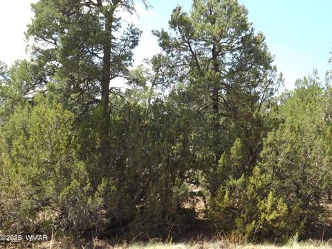 Tiny photo for 3500/3506 Evergreen Drive, Overgaard, AZ 85933 (MLS # 255282)