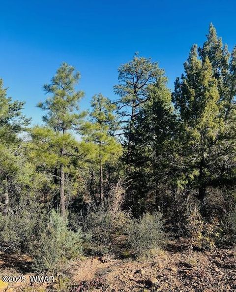 Photo of 1610 W Snow Creek Trail, Show Low, AZ 85901 (MLS # 258652)