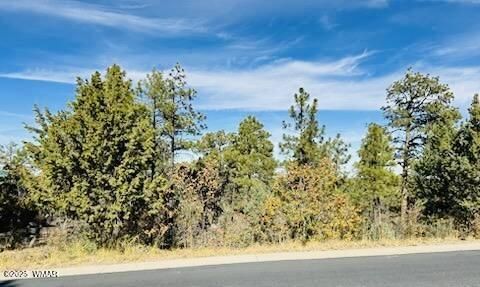 Tiny photo for 1610 W Snow Creek Trail, Show Low, AZ 85901 (MLS # 258652)