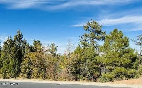 Photo of 1610 W Snow Creek Trail, Show Low, AZ 85901 (MLS # 258652)