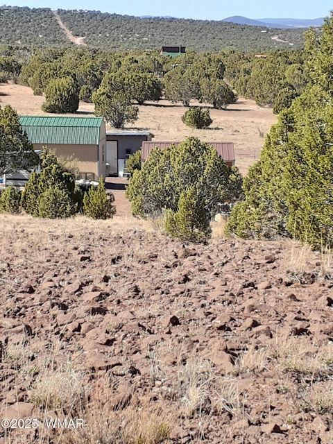 Tiny photo for 460 & 461 CR8301, Concho, AZ 85924 (MLS # 258891)
