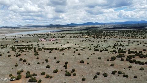 Tiny photo for 460 & 461 CR8301, Concho, AZ 85924 (MLS # 258891)