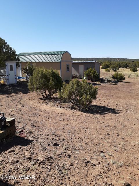 Photo of 460 & 461 CR8301, Concho, AZ 85924 (MLS # 258891)
