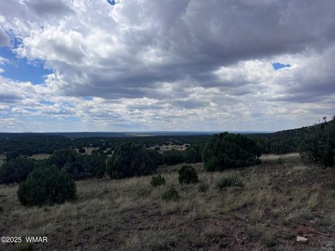 Tiny photo for 460 & 461 CR8301, Concho, AZ 85924 (MLS # 258891)