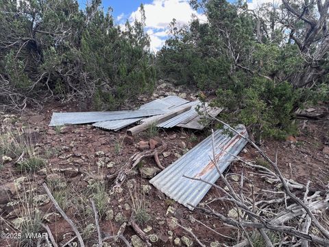 Tiny photo for 460 & 461 CR8301, Concho, AZ 85924 (MLS # 258891)