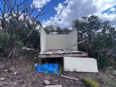 Tiny photo for 460 & 461 CR8301, Concho, AZ 85924 (MLS # 258891)