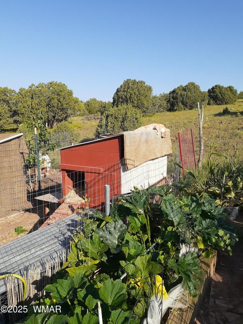 Tiny photo for 460 & 461 CR8301, Concho, AZ 85924 (MLS # 258891)