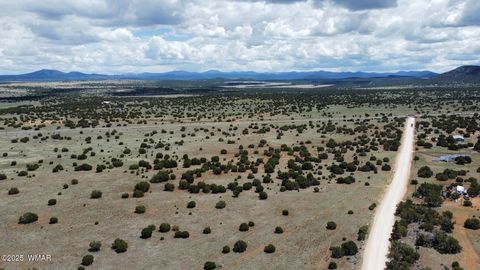 Tiny photo for 460 & 461 CR8301, Concho, AZ 85924 (MLS # 258891)