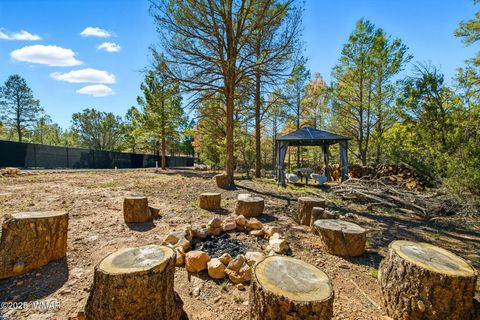Tiny photo for 3373 Mogollon Dr, Overgaard, AZ 85933 (MLS # 258326)