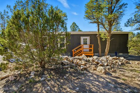 Tiny photo for 3373 Mogollon Dr, Overgaard, AZ 85933 (MLS # 258326)